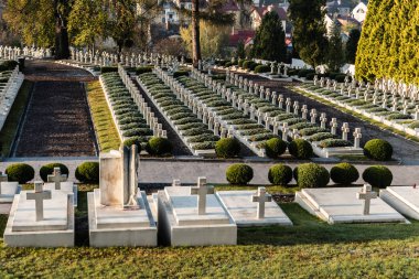 LVIV, UKRAINE - 23 Ekim 2019: Lviv, Ukrayna 'daki Lychakiv mezarlığındaki yeşil bitkilerin yanında haçlı mezarları cilala
