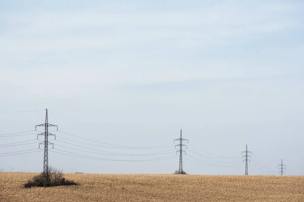 Złote Pole Pobliżu Linii Energetycznej Przed Błękitnym Niebem — Zdjęcie stockowe