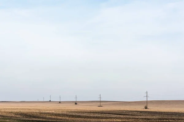 Stromleitung Nahe Goldenem Feld Gegen Blauen Himmel — Stockfoto