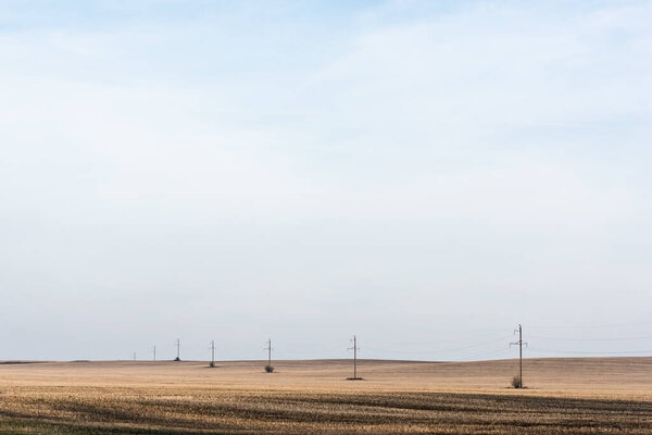 power line near golden field against blue sky 