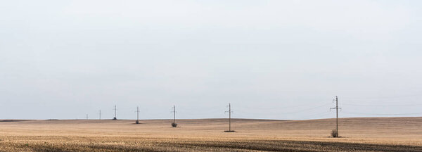 panoramic concept of power line near golden field against cloudy sky 