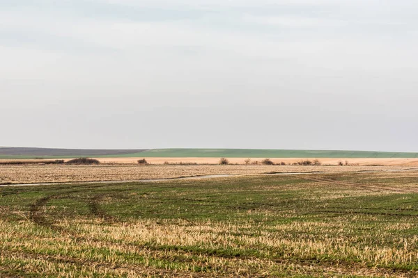 Rasenrasen Und Feld Gegen Himmel Mit Wolken — Stockfoto