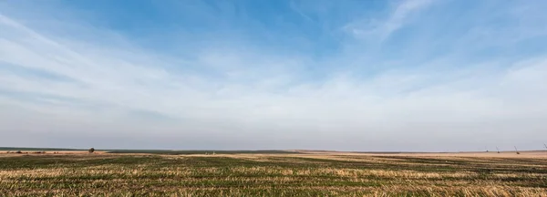 horizontal crop of grassy lawn against blue sky with clouds
