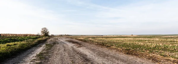 Concept Horizontal Chemin Près Pelouse Herbeuse Contre Ciel Bleu — Photo