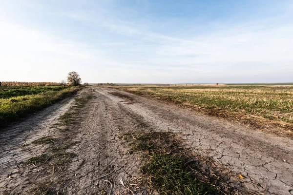 Çimenli Çimlerin Yanında Bulutlu Mavi Gökyüzüne Karşı Yol — Stok fotoğraf