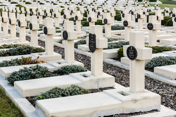 LVIV, UKRAINE - OCTOBER 23, 2019: graves with crosses and lettering near green plants on lviv defenders cemetery 