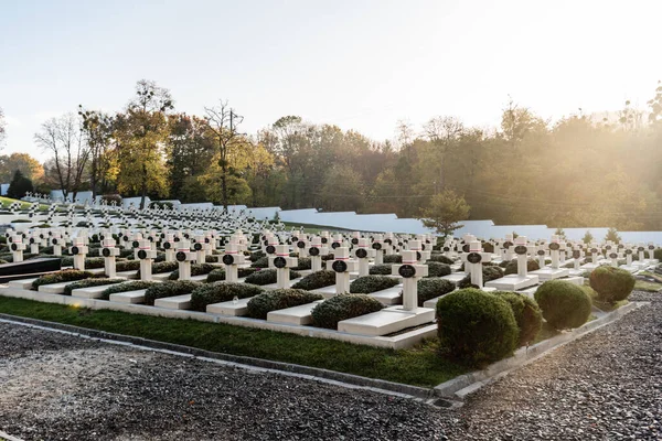 Lviv Ucrânia Outubro 2019 Luz Solar Cemitério Com Cruzes Letras — Fotografia de Stock