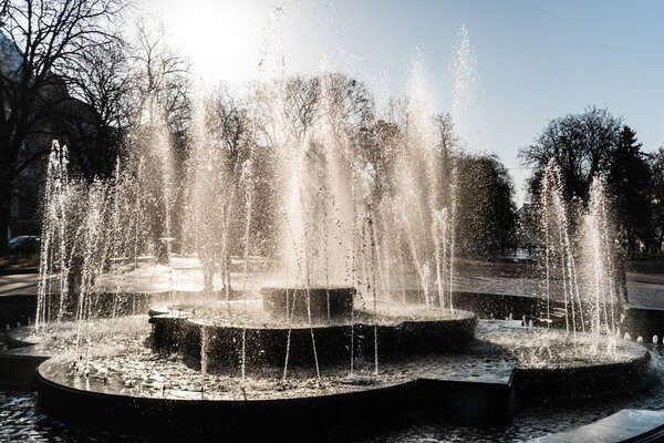 fountain near trees against blue sky with bright sun in lviv, ukraine