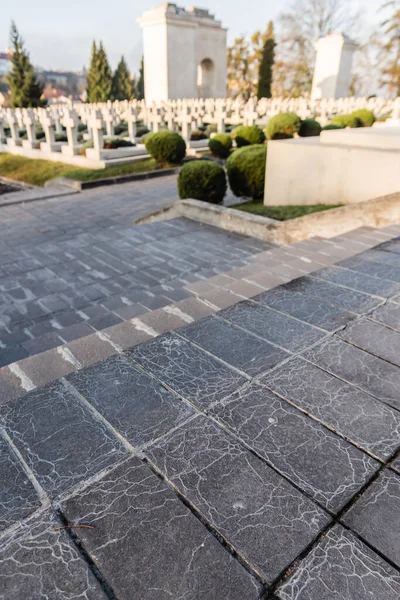 Lviv Ucrania Octubre 2019 Enfoque Selectivo Tumbas Monumentos Polacos Cementerio —  Fotos de Stock