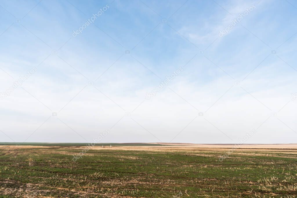 grassy lawn near field against blue sky with clouds