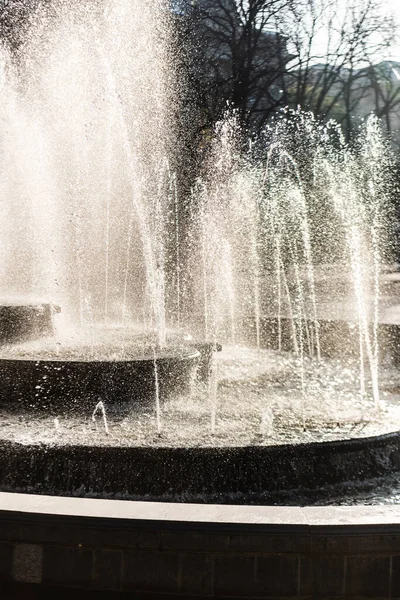 Cascading Fountain Trees Lviv Ukraine — Stock Photo, Image