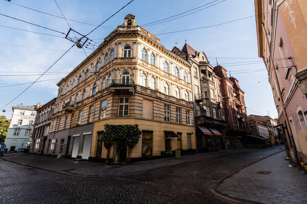 corner of beautiful old house with entrance decorated with potted lemon trees in lviv, ukraine