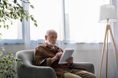Dijital tablet kullanan konsantre kıdemli adam koltukta otururken