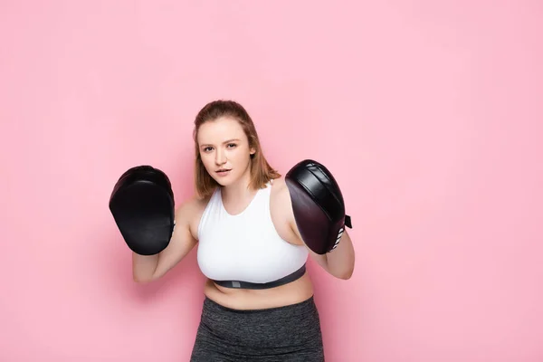 Συμπυκνωμένο Υπέρβαρο Κορίτσι Άσκηση Μαξιλάρια Πυγμαχίας Ενώ Κοιτάζοντας Κάμερα Ροζ — Φωτογραφία Αρχείου