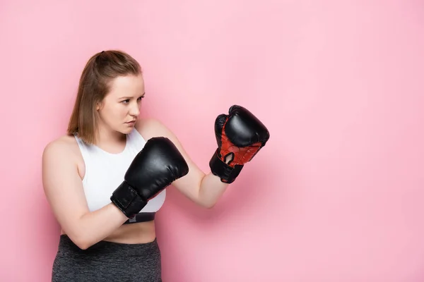 Attentive Size Girl Training Boxing Gloves Pink — Stock Photo, Image
