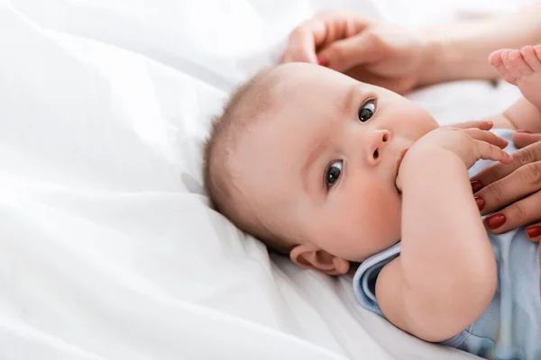 Madre Tocando Lindo Bebé Chico Mirando Cámara Mientras Chupando Mano — Foto de Stock