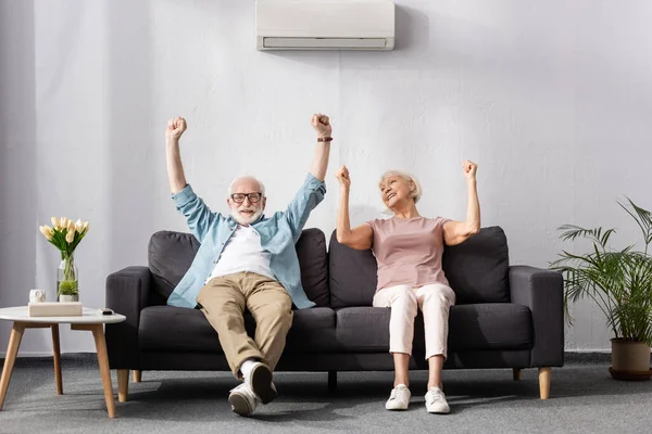 Positive Senior Couple Showing Yeah Gesture While Sitting Couch Living — Stock Photo, Image