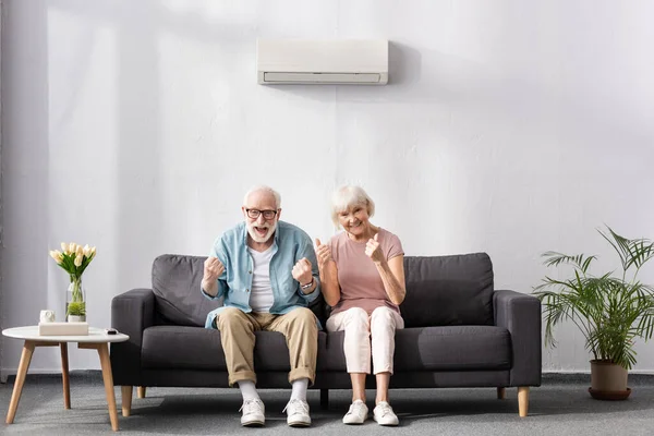Cheerful Senior Couple Showing Thumbs Yeah Gestures Sofa Home — Stock Photo, Image