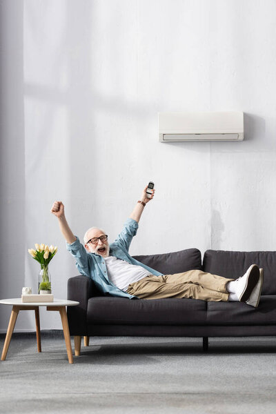 Happy senior man holding remote controller of air conditioner and showing yeah gesture at home 