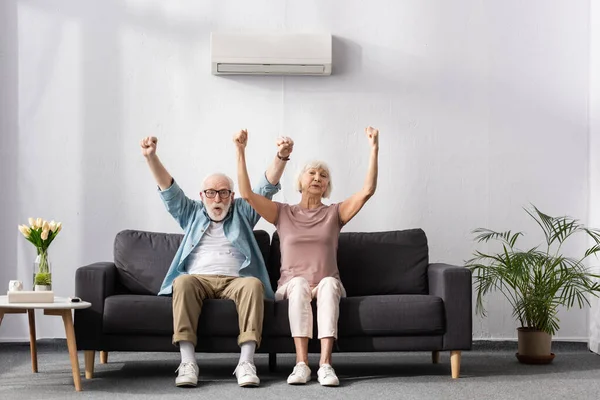 Positive senior couple showing yes gesture under air conditioner on sofa at home — Stock Image Positive Senior Couple Showing Yes Gesture Air Conditioner Sofa Home Stock Photo