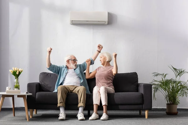 Excited elderly couple showing yeah gesture under air conditioner at home — Stock Image Excited Elderly Couple Showing Yeah Gesture Air Conditioner Home Stock Picture