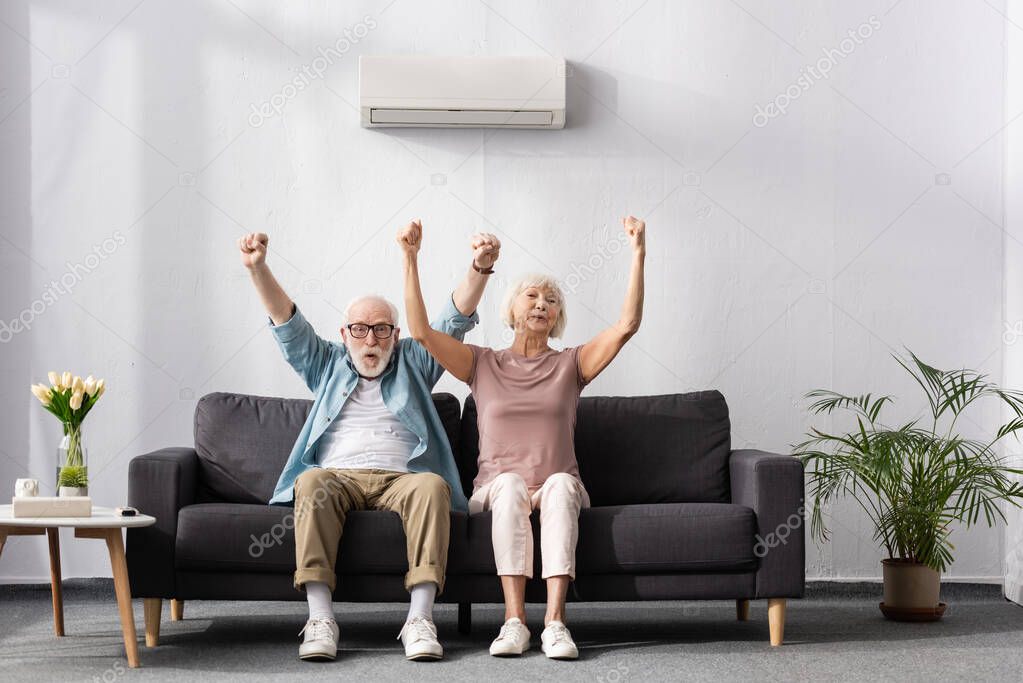 Positive senior couple showing yes gesture under air conditioner on sofa at home 