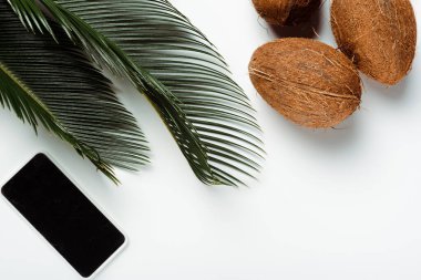 Beyaz arkaplanda yeşil palmiye yaprakları, hindistan cevizleri ve akıllı telefon manzarası