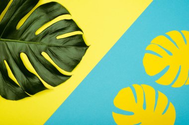 top view of yellow paper cut palm leaves and natural green on blue background clipart