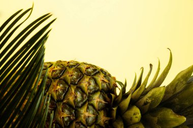 Sarı üzerine izole edilmiş lezzetli ananas ve palmiye yaprağı.