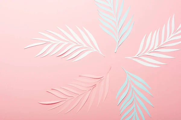 Top View White Pink Blue Paper Cut Palm Leaves Pink — Stock Photo, Image