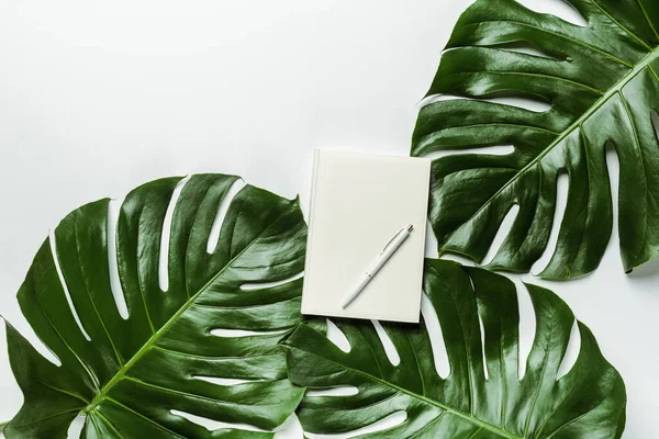 Bovenaanzicht Van Notitieboekje Met Pen Groene Palmbladeren Witte Achtergrond — Stockfoto