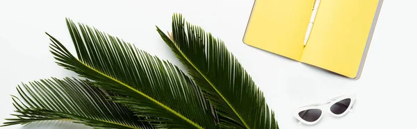 白を背景にサングラスとイエロープランナーの近くに緑のヤシの葉のトップビュー パノラマショット — ストック写真