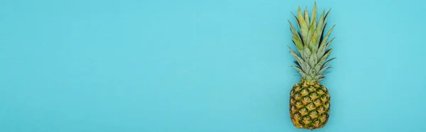 Вид Зверху Стиглий Ананас Синьому Фоні Панорамний Знімок — стокове фото