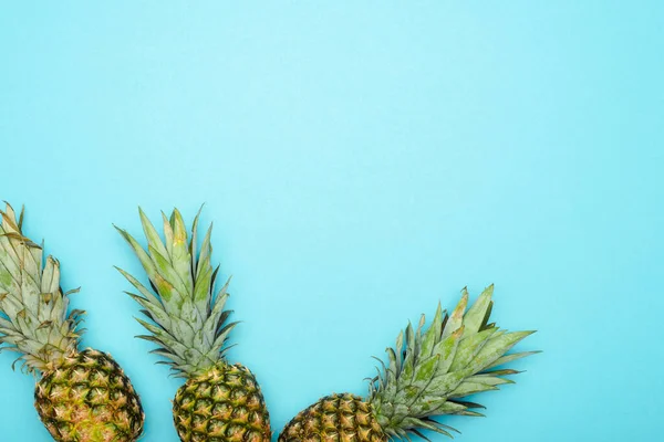 top view of ripe pineapples on blue background
