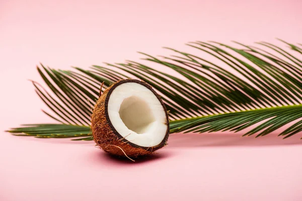 Feuille Palmier Vert Moitié Noix Coco Fraîche Sur Fond Rose — Photo