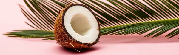 Groen Palmblad Verse Kokosnoot Helft Roze Achtergrond Panoramisch Shot — Stockfoto