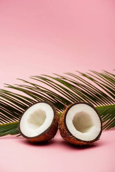 Groen Palmblad Verse Kokoshelften Roze Ondergrond — Stockfoto