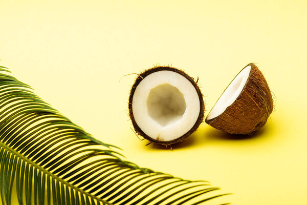 вкусный сладкий кокос и пальмовый лист на желтом фоне
