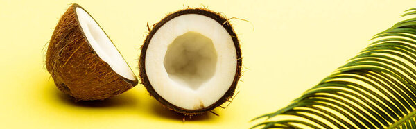 вкусный сладкий кокосовый орех и пальмовый лист на желтом фоне, панорамный снимок
