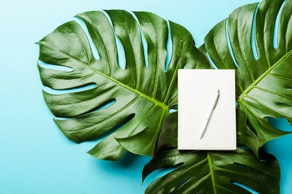 Top View Blank Notepad Pen Green Palm Leaves Blue Background — Stock Photo, Image