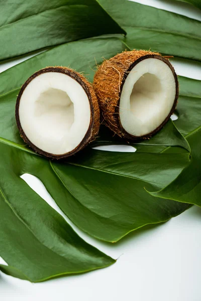 Groene Palmbladeren Kokoshelften Witte Achtergrond — Stockfoto