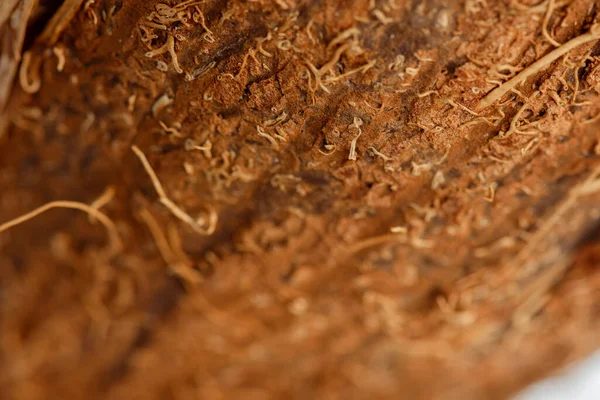 Close View Coconut Brown Textured Peel — Stock Photo, Image