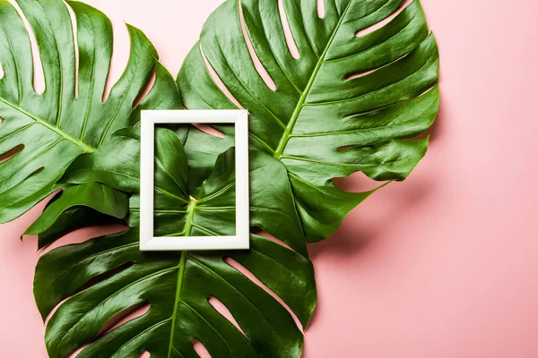 Vista Superior Folhas Palma Verde Fresco Quadro Quadrado Fundo Rosa — Fotografia de Stock