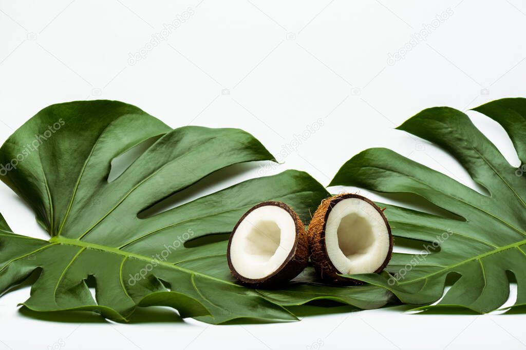 green palm leaves and coconut halves on white background