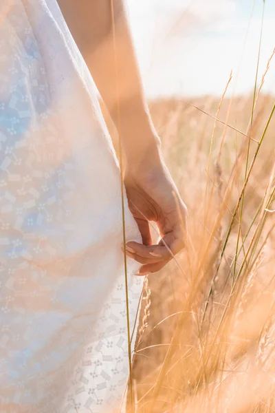 フィールドに立っている間に白い夏のドレスに触れる女性のクロップドビュー — ストック写真