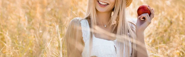 Cropped View Woman Summer Outfit Holding Ripe Apple Field Horizontal — Stock Photo, Image