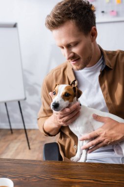 Jack Russell Terrier köpeğini ofis masasında otururken günlük giysiler içinde genç bir iş adamı tutuyor.
