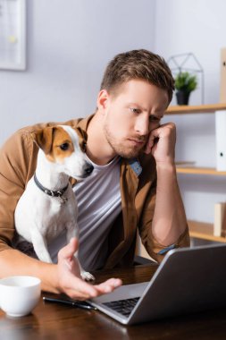 Jack Russell Terrier 'ın yanındaki dizüstü bilgisayara bakan düşünceli iş adamının seçici odağı.