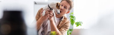 Heyecanlı iş adamının seçici odağı, ağzı açık Jack Russell Terrier köpeğini ofisinde tutuyor, yatay konsept.