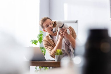 İşyerinde otururken Jack Russell Terrier köpeğini tutan heyecanlı iş adamının seçici odak noktası